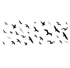 Fototapeta na wymiar Flying birds silhouettes on white background. Vector illustration