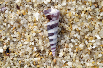 A purple sea shell lies on a texture of large sand grains.
