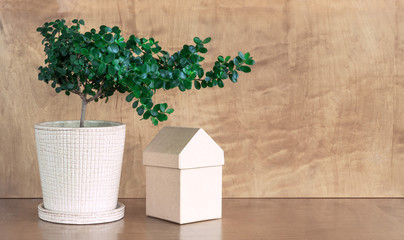 Little tree and pasteboard house box.