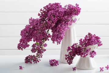 The beautiful lilac on white background