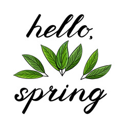 Hello, spring. Handwritten illustration. 