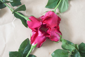 Red rose