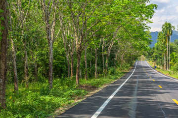 countryside landscape nature