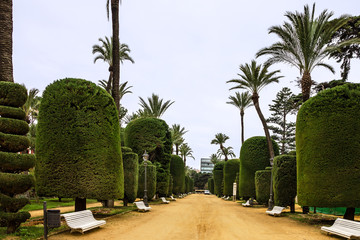 Obraz premium Cadiz, Spain. Genovese green park