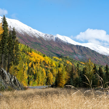 Fall Highside along Sterling Highway