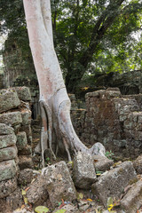 Ta Prohm temple