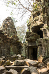Obraz premium Ta Prohm temple