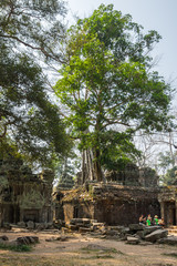Obraz premium Ta Prohm temple
