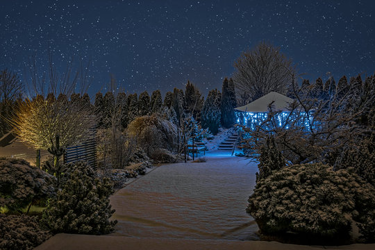 Winter garden
