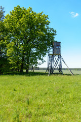 Hunter's Blind in Summer