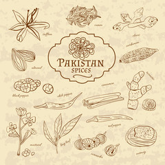 Set of spices and herbs cuisines Pakistan on old paper in vintage style. Vector