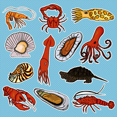 Collection  sea animals for the development of your baby. Vector illustration