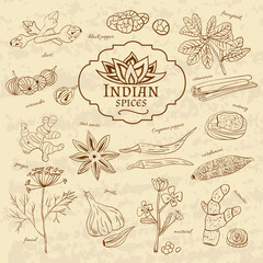 Set of spices and herbs cuisines of India on old paper in vintage style. Vector - 102536786