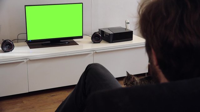 Man Watching Tv Green Screen With Cat In The Room. Young man with a cat watching television green screen at home - 1080p