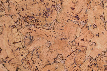 Brown vintage cork board texture background. Empty bulletin Board.