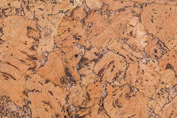 Brown vintage cork board texture background. Empty bulletin Board.