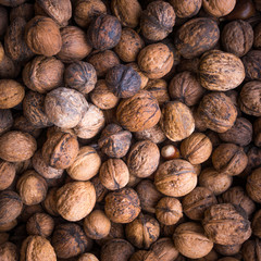 Walnut background