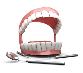 3d model of the jaw and dental tools on a white background