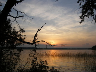 Рассвет на лесном озере