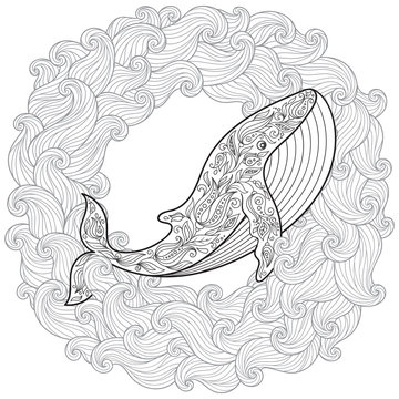Hand drawn whale in the waves for anti stress Coloring Page