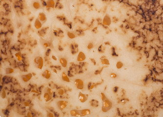 crumpet background