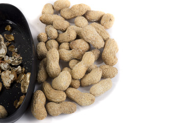 groundnut on white background