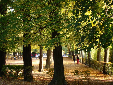 Park of Schönbrunn Vienna in Autumn