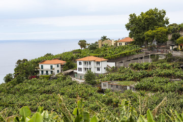 Fototapeta na wymiar Camara de Lobos is a city in the south-central coast of Madeira,