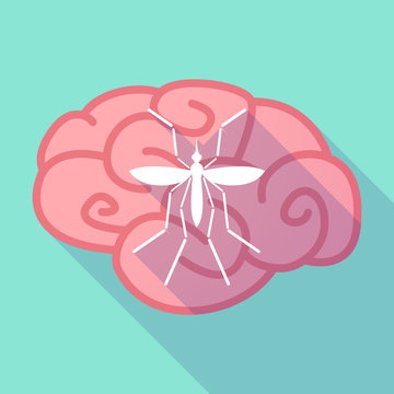 Zika virus bearer mosquito  in a brain