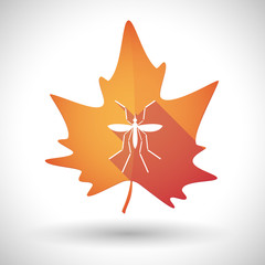 Zika virus bearer mosquito  in a orange leaf