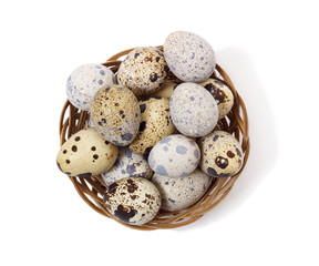 Obraz premium Quail eggs on white background