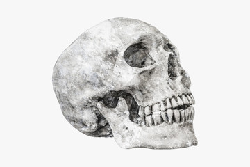 Obraz premium Rock human skull on isolated,clipping path