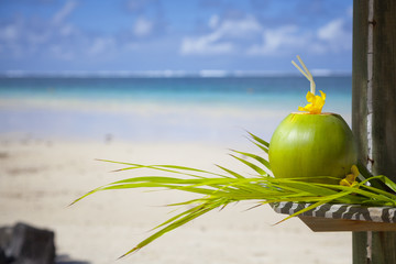 Coconut at the beach of mauritius.
