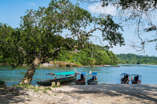 Misahualli