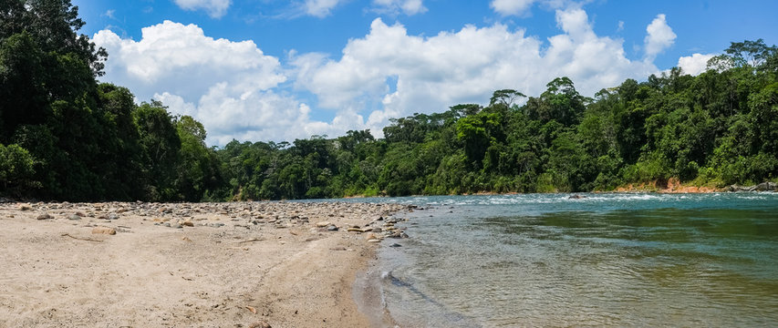 Misahualli