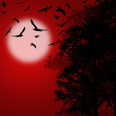 Beautiful forest trees with flying birds on red sunset, vector illustration