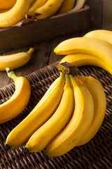 Raw Organic Bunch of Bananas © Brent Hofacker