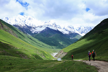 Fototapeta na wymiar Summer landscape with Caucasus Shkhara mountain seen from Ushguli village in the upper Svaneti region, Georgia