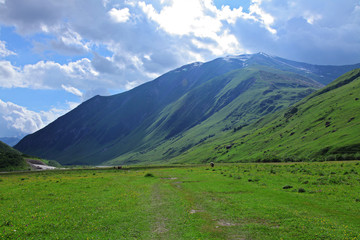 Fototapeta premium Beautiful view of rural alpine landscape. Sunny hills under cloudy sky. Upper Svaneti, Georgia, Europe. Caucasus mountains. Beauty world.