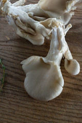 Organic raw mushrooms
