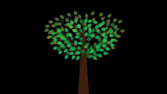 tree of money
