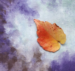 Autumn leaf on painted background