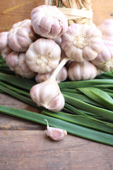 Plant of garlic