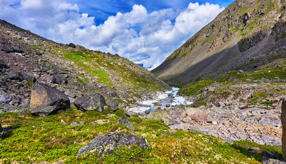 Fototapeta na wymiar Source mountain stream . Summer mountain landscape