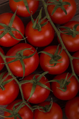 tomatoes detail