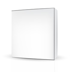 VECTOR PACKAGING: White gray package box on isolated white background. Mock-up template ready for design