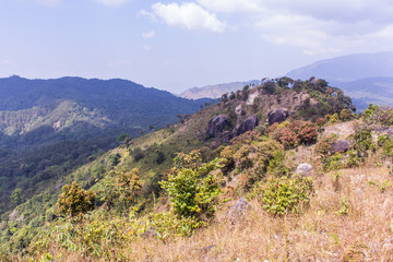 Naklejka premium mountain in doi inthanon, Chiangmai Thailand