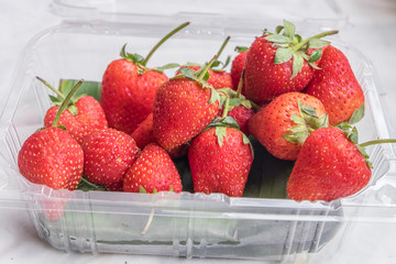Strawberries in box