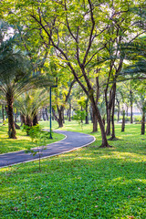 Road for bike at Benjakiti Park in Bangkok, Thailand 