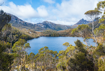 Fototapeta na wymiar Nature and Wilderness of Cradle mountain national park in Tasmania island, Australia.